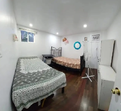 BRAMPTON ,SHARING/ PRIVATE ROOM,GIRL/COUPLES  NOV 01/ NOW Image# 1