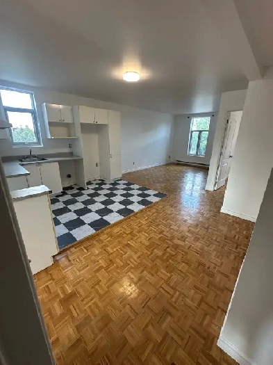 Grand 5 1/2 sud ouest Image# 1