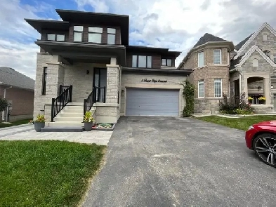 2 Bed 1 Bath Newley Renovated- Holland Landing Image# 1