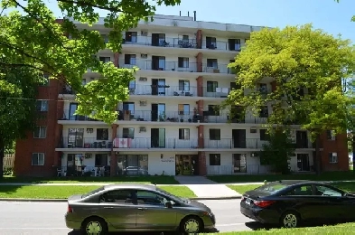 1BD APT- Heat Included! - Bruce Ave Close to University Image# 1