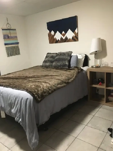 One bedroom basement suite West Hill Image# 1