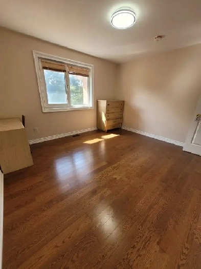 Room for Rent in a House Kennedy/Sheppard Image# 1