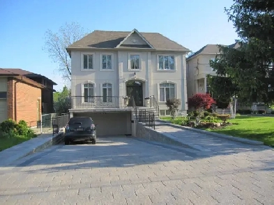 1 BEDROOM  WALK OUT  BASEMENT APARTMENT IN RICHMOND HILL Image# 1