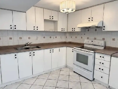 2 Bed 1 Bath Legal Basement Apartment Olympia Crescent Image# 1