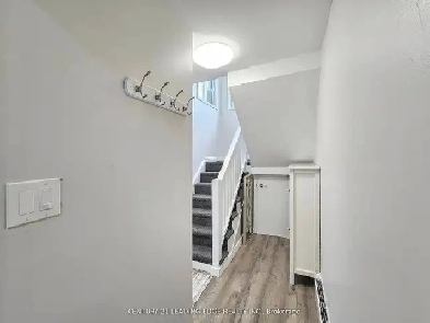 2 East Road Basment for Rent Image# 1