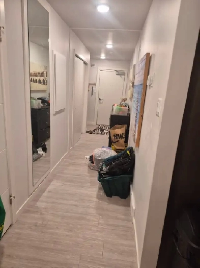 Apartment 4 rent Image# 1