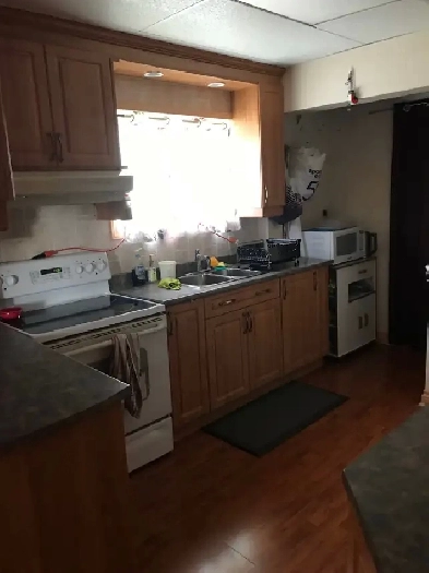 Studio, Hull downtown furnished poel frigo lav/secheuse Image# 1