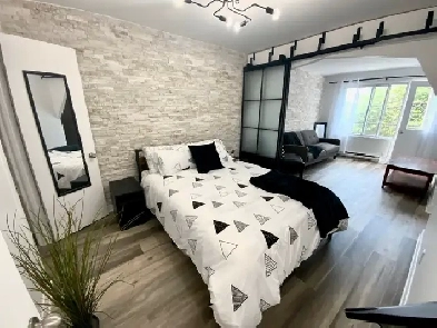 Situer à 200m du métro Joliette ! Libre immédiatement! Image# 1