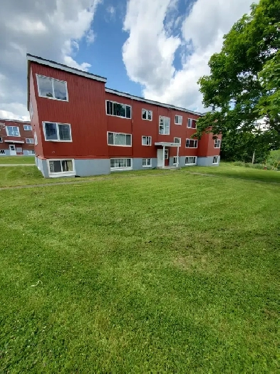 19 Newman St 2 Bedroom Image# 1