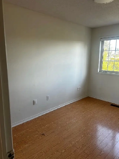 Room for Rent Image# 1