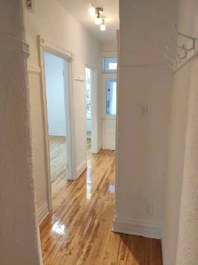 4 1/2 Petite Italie / rénové / 1 chambre à coucher / bien situé Image# 1