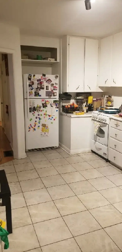 Roommate needed. Image# 1