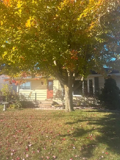 Roommate needed in house Image# 1