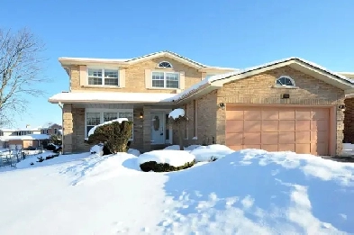 Basement 2 Bedroom apartment for Rent, Markham, HWY7/McCowan Image# 1