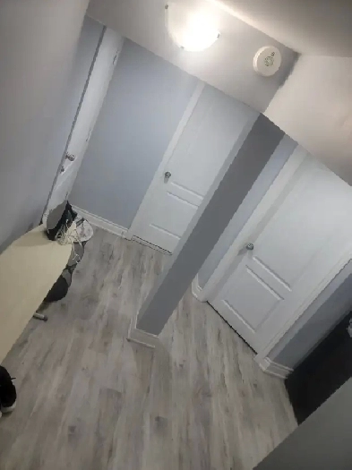 1-bedroom basement apartment  rent in Brampton, 416 826 4357 Image# 1