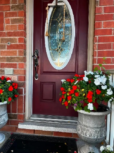 Two bedroom basement apartment in Milton Image# 1