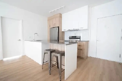 Villeray-150m metro station- 4 1/2 with internet Image# 1