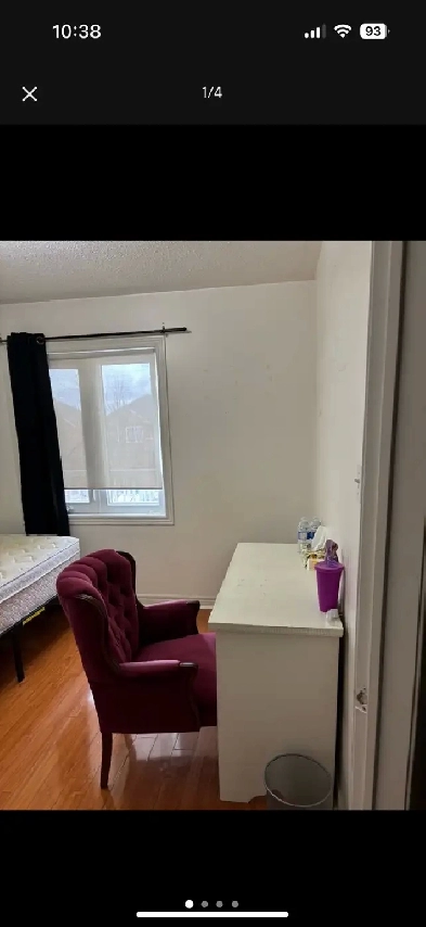 room for rent in maple/vaughan Image# 1