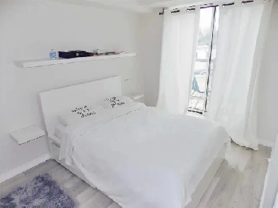 2 ️ Bedroom | 1 Bathroom | FOR RENT ⬆️ | Toronto Etobicoke Image# 1