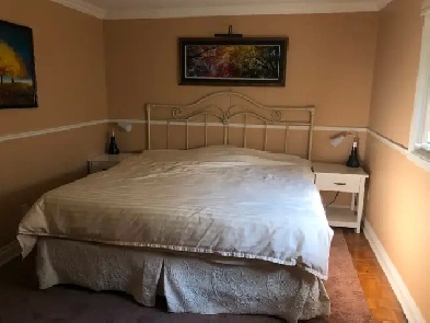 ROOMMATE FOR HOUSE IN RICHMOND HILL Image# 1