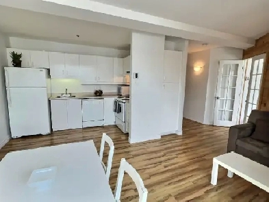 Condo 3 1/2 MEUBLÉ DANS LE QUARTIER DE SAINT-JEAN-BAPTISTE Image# 1