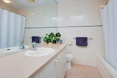 Heart of downtown! Beautiful apartment with rooftop terrasse! Image# 1