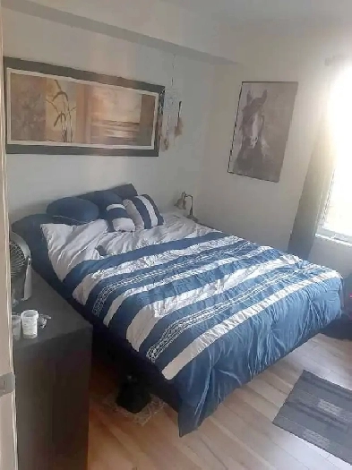 CHAMBRE À LOUER 800.00$ Image# 1