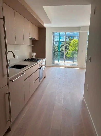 Brand New Studio condo in Vancouver pets welcome Image# 1