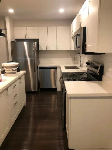 Bright, Renovated 1-Bedroom Apartment in Newmarket Image# 1