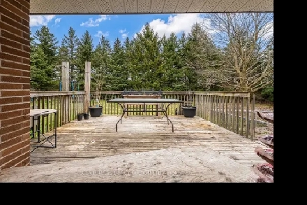 3 rooms for rent or full basement Image# 1