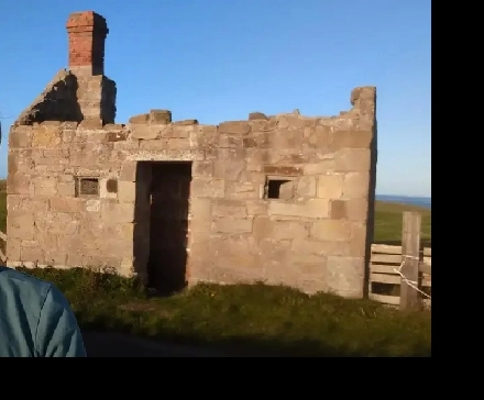 Looking for room to rent for nov 1st Image# 1