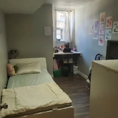 Room for rent in downtown Toronto Image# 1