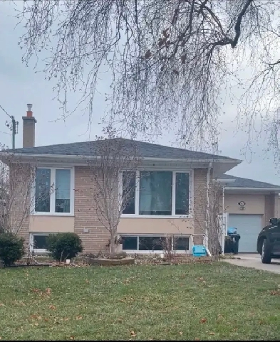 Spacious 2-Bedroom Basement Apartment for Rent Image# 1