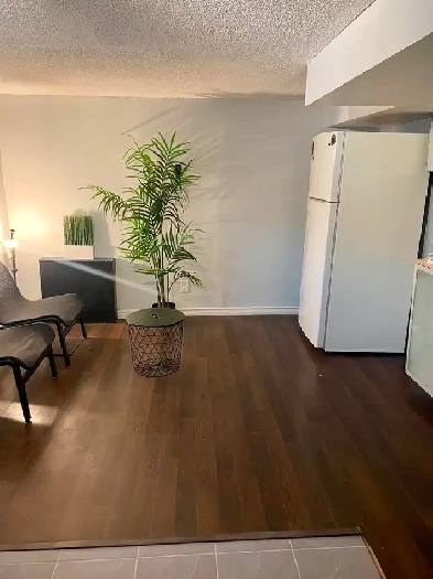 XL BEDROOM, PRIVATE RENO'D. BSMT APT. UTILITIES INCLUDED, BRIGHT Image# 1