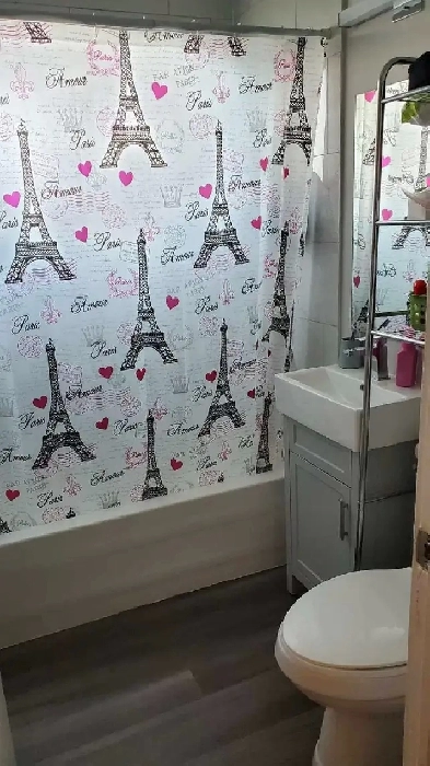 Renovated 1 Bed available NOW in Carlington Image# 1