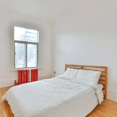 Colocs recherchés - 7 1/2 - Verdun Image# 1