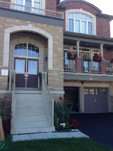 1 Bedroom walkout basement for rent in Brampton Image# 1