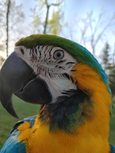 looking to share a basement or something with someone Image# 1