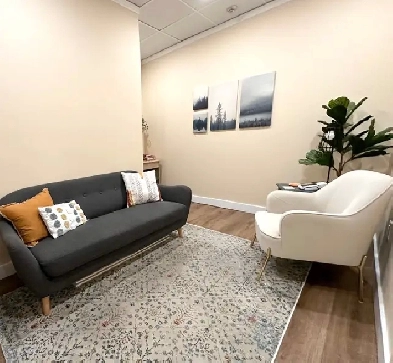 Beautiful soundproof office for wellness and psychotherapist Image# 3