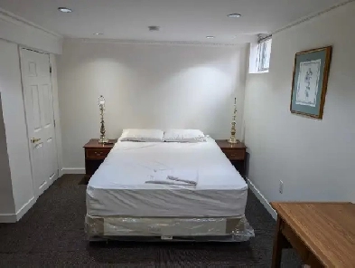 private bachelor basement Image# 1