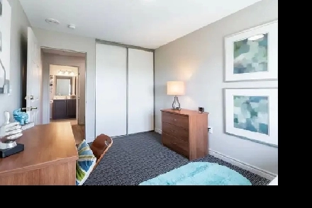 Private room for rent in a 3-bed apartment in Collegview commons Image# 1