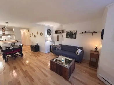 Grand 4 1/2 avec terrasse et jardin - Métro Beaudry Image# 1