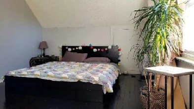 3Bdrm 2Bath Danforth & Vic Park Image# 1