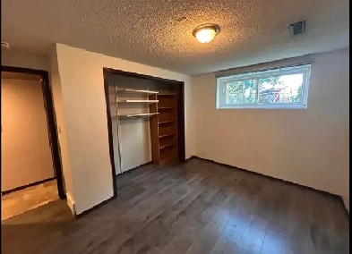 Roomate for large Bedroom Image# 1