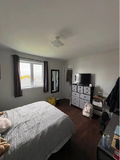 Private room for rent Image# 7