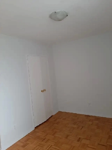 Room for Rent in Toronto Downtown Image# 1