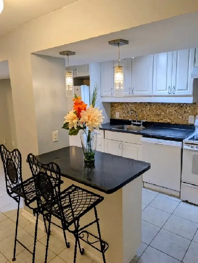 Beautiful spacious 2 bedroom basement apartment in Riverdale Image# 1