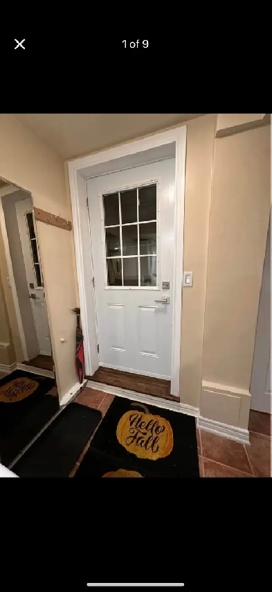 BASEMENT APARTMENT  FOR RENT- Richmondhill Image# 1