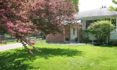 Live the Aurora Lifestyle | Impeccably Renovated Exec Bungalow Image# 1