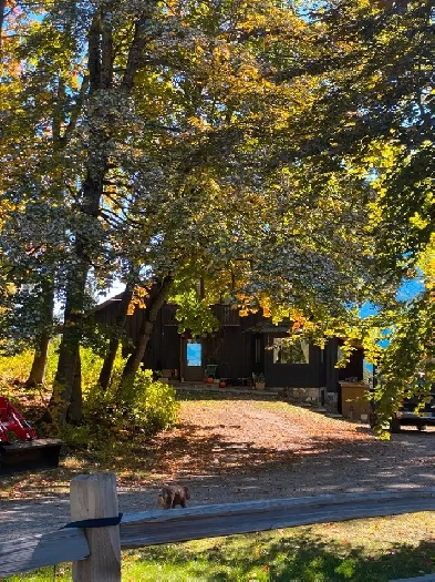 3bed/3bath furnished home for rent Image# 1